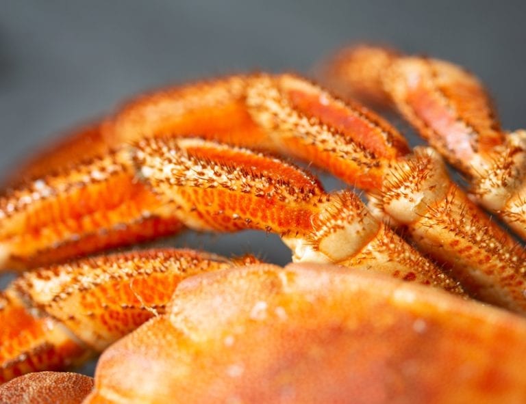 Cooked Hen Crab whole W Stevenson & Sons Ltd