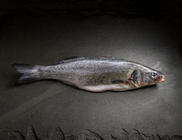 whole_sea_bass