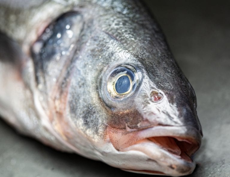 2 x Farmed Sea Bass whole (350g each) W Stevenson & Sons Ltd