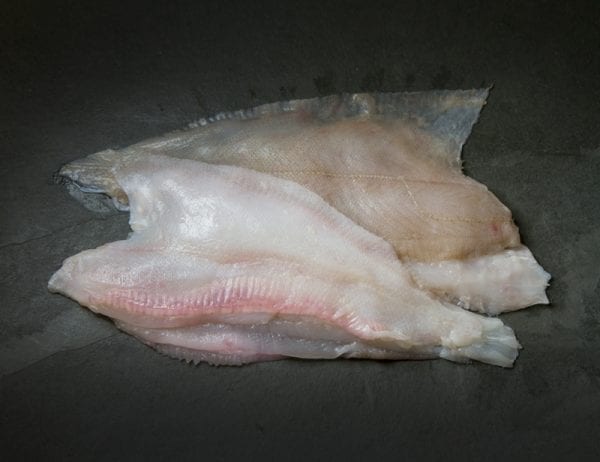 Megrim "Cornish Sole" skin on fillets