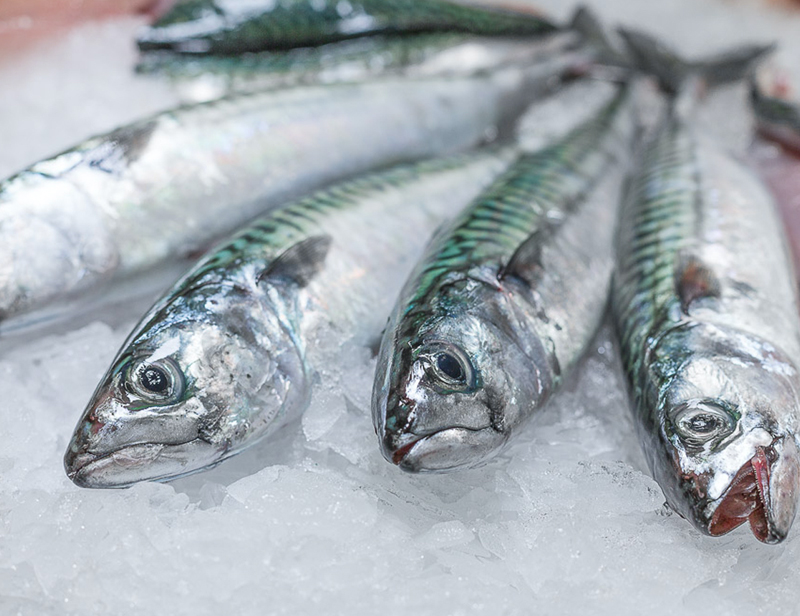 Cornish fish box W Stevenson & Sons Ltd