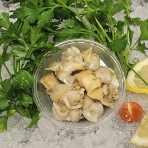 Whelk Meat